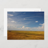 Carte Postale Grandes Plaines du Dakota du Sud en été (Devant / Derrière)