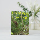 Carte Postale Grands amis Ape (Debout devant)