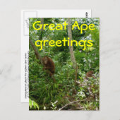 Carte Postale Grands amis Ape (Devant / Derrière)