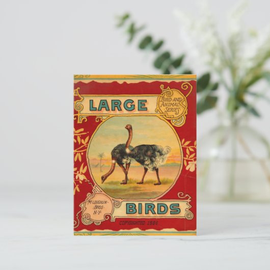 Carte Postale Grands oiseaux (Debout devant)