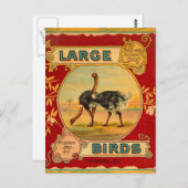 Carte Postale Grands oiseaux (Devant / Derrière)