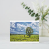 Carte Postale Grands pâturages (Debout devant)