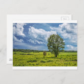 Carte Postale Grands pâturages (Devant / Derrière)