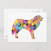 Carte Postale Grands Pyrénées (Devant / Derrière)