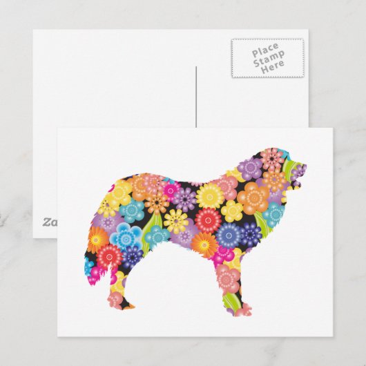 Carte Postale Grands Pyrénées (Devant / Derrière)