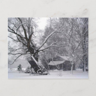 Carte Postale Grange Ancienne & Chêne dans une photo de neige hi