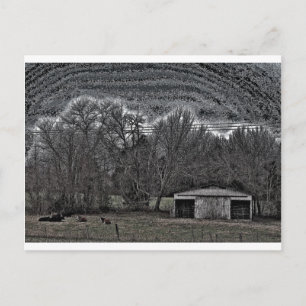 Carte Postale Grange blanche