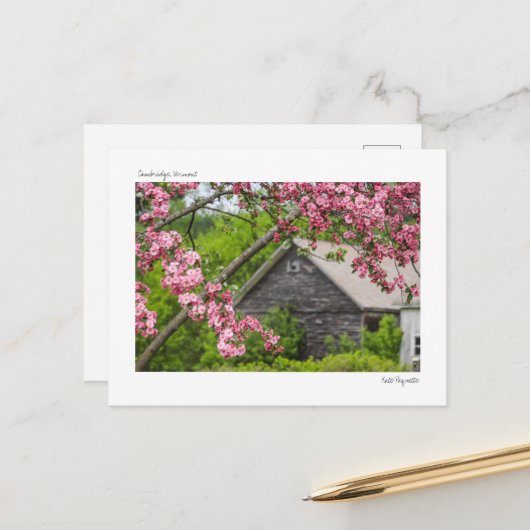 Carte postale Grange et Blossoms (Devant/Arrière en situation)