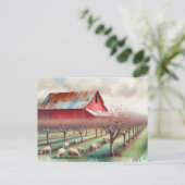 Carte Postale Grange rouge et verger de pistaches (Debout devant)