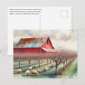 Carte Postale Grange rouge et verger de pistaches (Devant / Derrière)