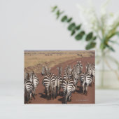 Carte Postale Grant Zebra 4 (Debout devant)