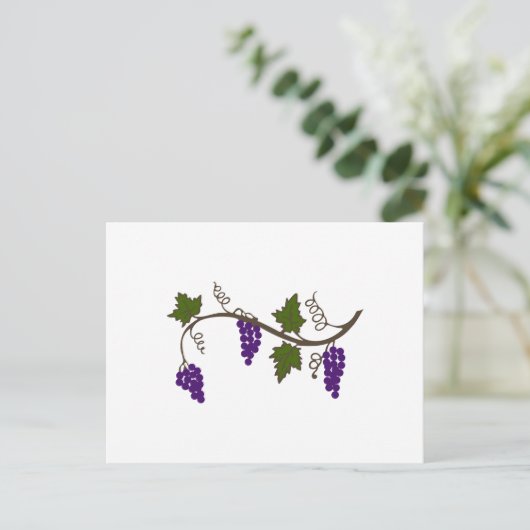 CARTE POSTALE GRAPEVINE (Debout devant)