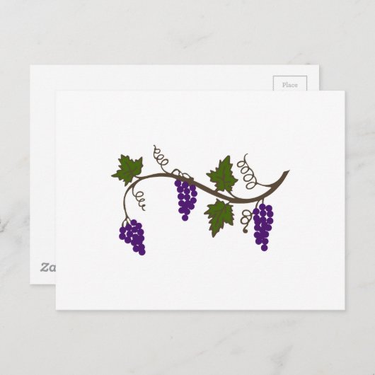CARTE POSTALE GRAPEVINE (Devant / Derrière)