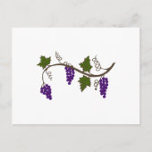 CARTE POSTALE GRAPEVINE (Devant)