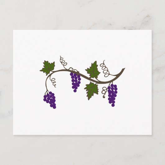 CARTE POSTALE GRAPEVINE (Devant)
