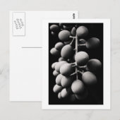 Carte Postale graphes (Devant / Derrière)