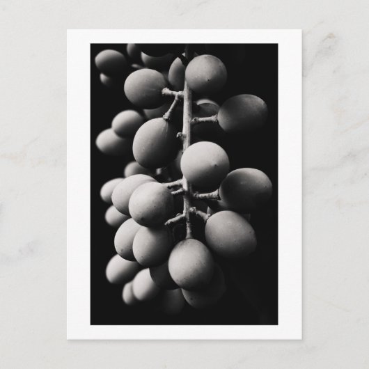 Carte Postale graphes (Devant)