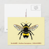 Carte Postale Graphique Buzzy BEE - Faune - Insecte - jaune (Devant / Derrière)