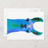 Carte Postale Graphique de lama bleu (Devant / Derrière)