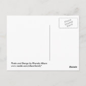 Carte Postale Graphique de palmier de Bula Fiji (Dos)