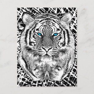 Carte Postale Graphique de tigre noir et blanc aux yeux bleus