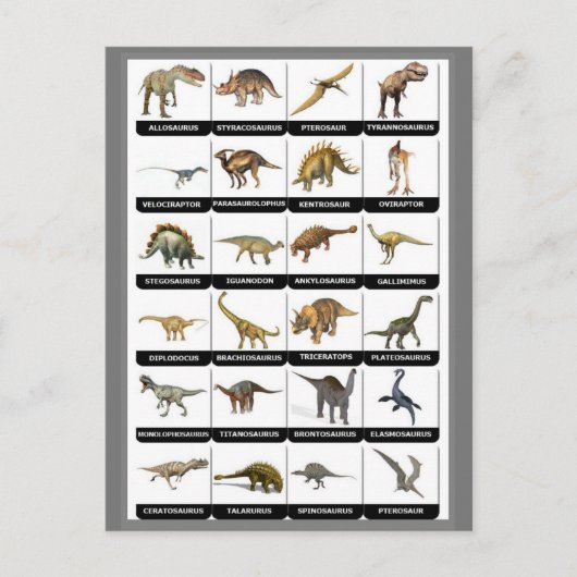 Carte Postale Graphique des dinosaures (Devant)