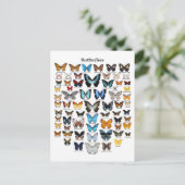 Carte Postale Graphique des papillons (Debout devant)