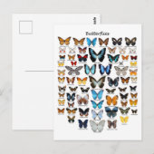 Carte Postale Graphique des papillons (Devant / Derrière)