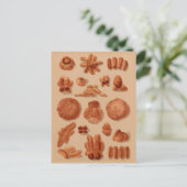 Carte Postale Graphique d'illustrations de boulangeries vintages (Debout devant)