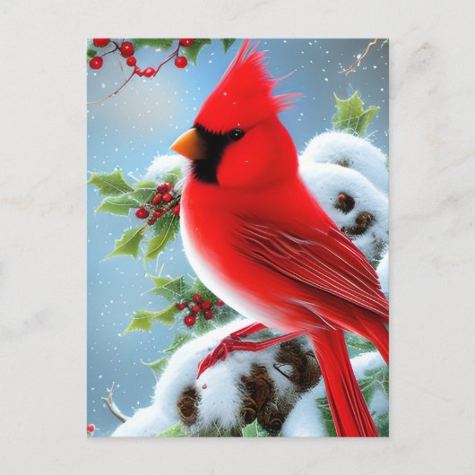 Carte Postale Graphique d'oiseaux du cardinal neige (Devant)