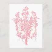 Carte Postale Graphique rose (Devant)