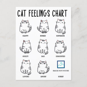 Carte Postale Graphique Sentiments de chat