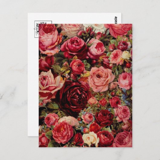 Carte postale graphique vintage (Devant / Derrière)