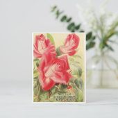 Carte postale graphique vintage (Debout devant)