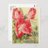 Carte postale graphique vintage (Devant / Derrière)