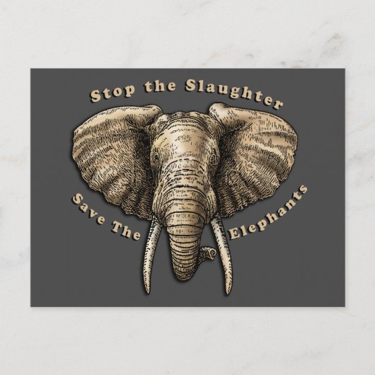 Carte Postale Graphisme Sauver les Éléphants (Devant)