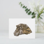 Carte Postale Graphite, Danville, Vermont, Etats-Unis (Debout devant)