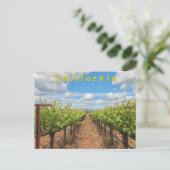 Carte Postale Grappes (Debout devant)