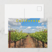 Carte Postale Grappes (Devant / Derrière)
