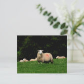 Carte postale Gras (Debout devant)