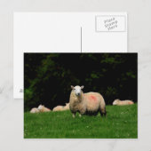 Carte postale Gras (Devant / Derrière)
