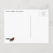 Carte Postale Grass et Fleurs sauvages violets (Dos)