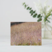 Carte Postale Grass et Fleurs sauvages violets (Debout devant)