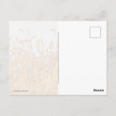 Carte Postale Grasses d'automne (Dos)