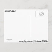 Carte Postale Grasshopper (Dos)
