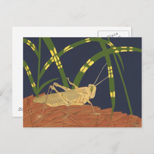 Carte Postale Grasshopper en Grass vert sur Arrière - plan bleu (Devant / Derrière)