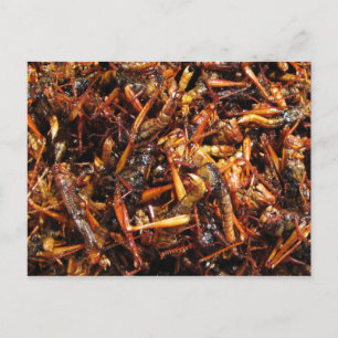 Carte Postale Grasshopper frit (Takkataen Thot) Alimentation asi
