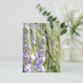 Carte Postale Gratitude (Debout devant)