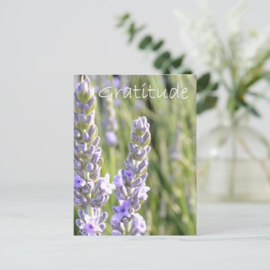 Carte Postale Gratitude (Debout devant)