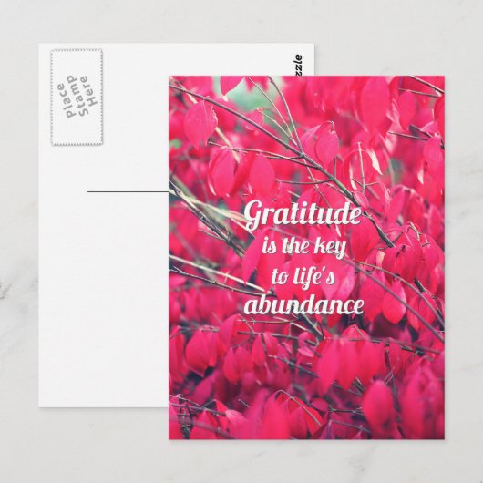 Carte Postale Gratitude (Devant / Derrière)